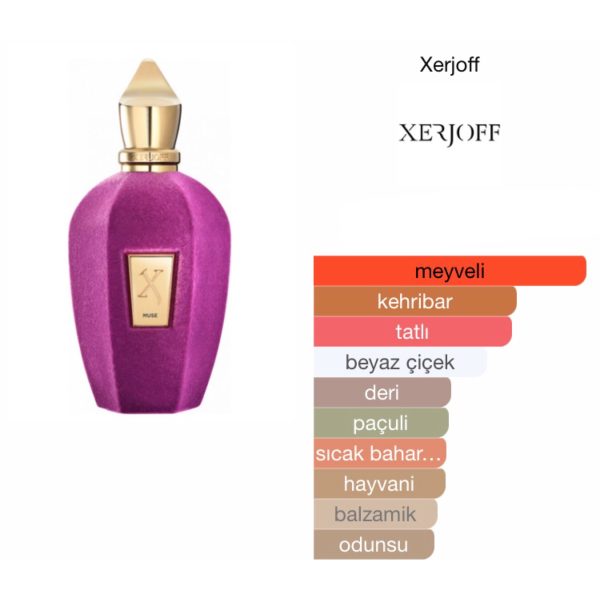 Xerjoff Muse EDP 100 ML Unisex Parfüm - Görsel 2