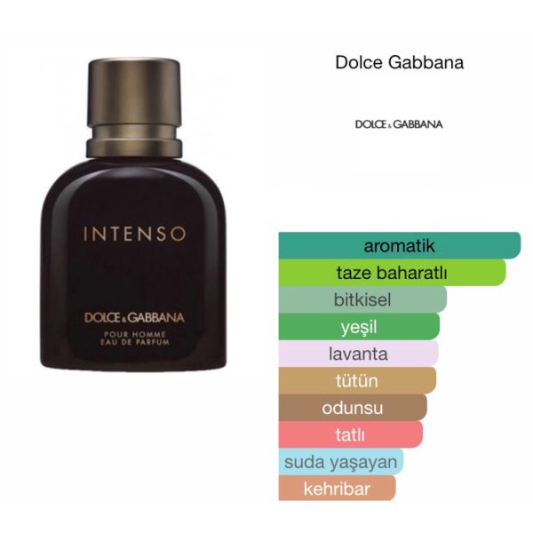 Dolce & Gabbana Pour Homme İntenso EDP 125 ML Erkek Parfüm - Görsel 2
