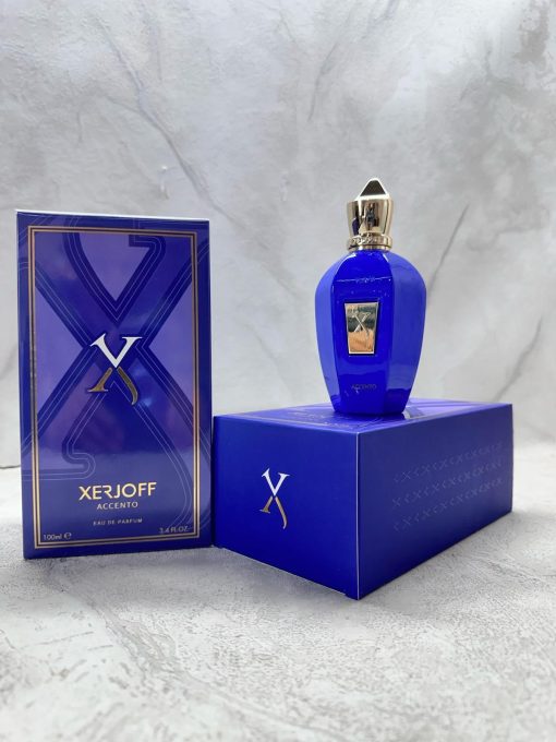 Xerjoff Vibe Accento EDP 100 ML Unisex Parfüm - Görsel 3