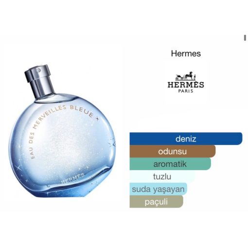 Hermes Eau Des Merveilles Bleue EDT 100 ML Kadın Parfüm - Görsel 2