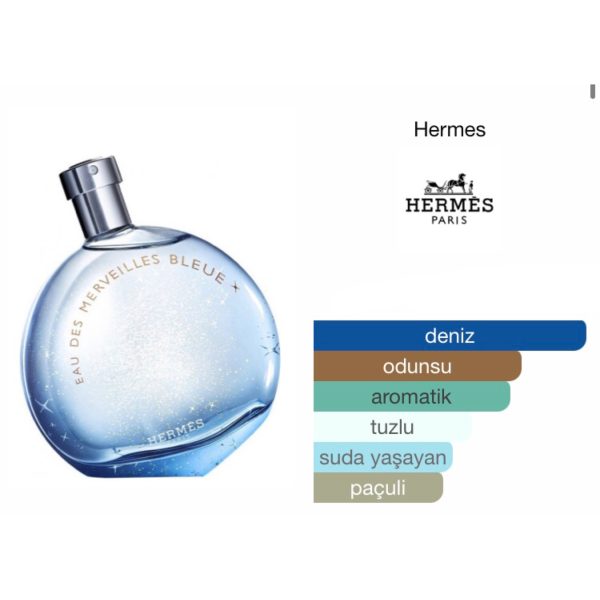 Hermes Eau Des Merveilles Bleue EDT 100 ML Kadın Parfüm - Görsel 2