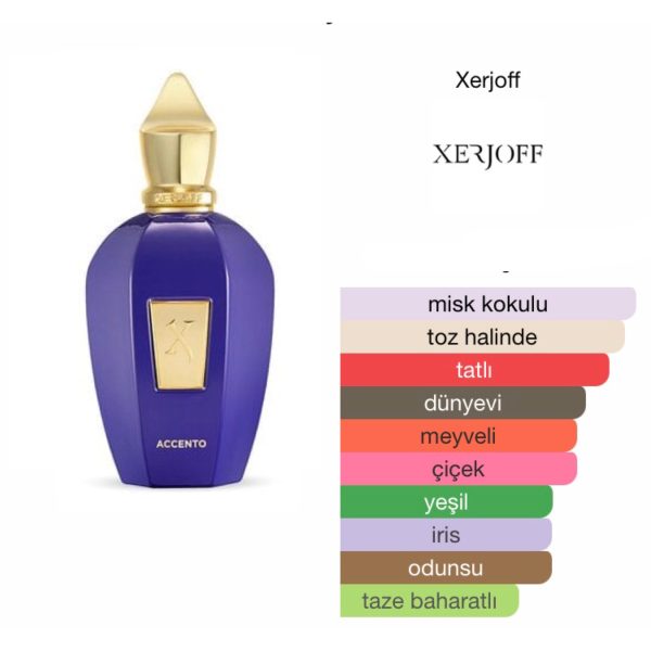 Xerjoff Vibe Accento EDP 100 ML Unisex Parfüm - Görsel 2
