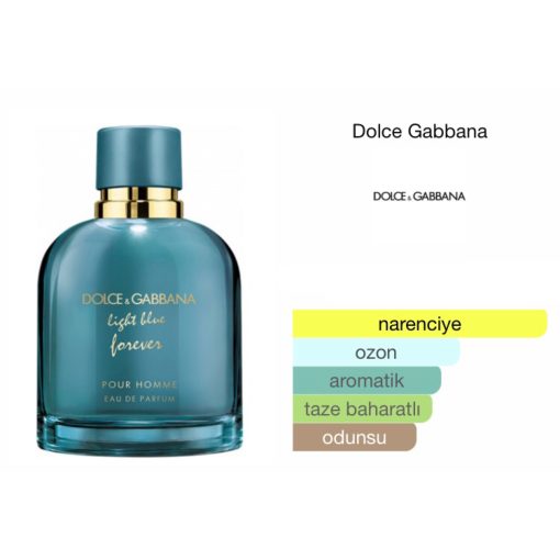 Dolce & Gabbana Light Blue Forever EDP 100 ML Erkek Parfüm - Görsel 2