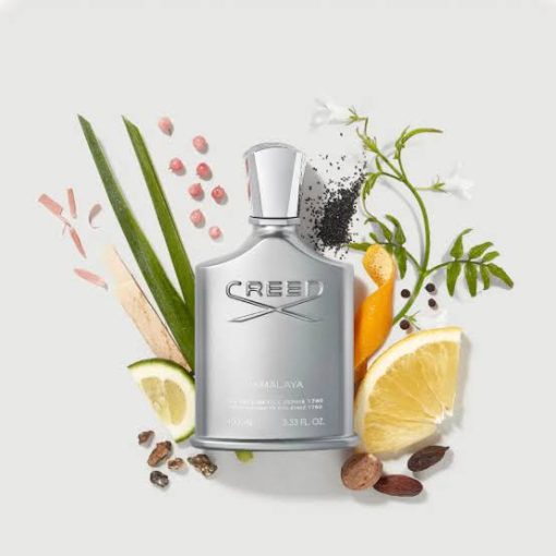 Creed Himalaya EDP 100 ML Erkek Parfüm - Görsel 2