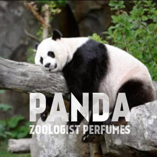 Zoologıst Panda Extrait De Unisex Parfum 60 ML - Görsel 3