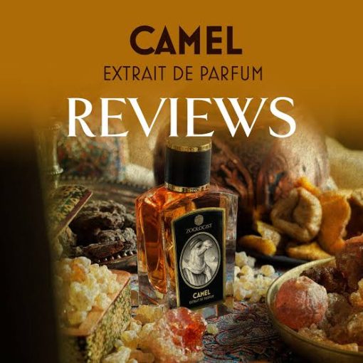 Zoologıst Camel Extrait De Unisex Parfum 60 ML - Görsel 2