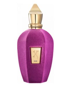 Xerjoff Muse EDP 100 ML Unisex Tester Parfüm