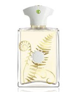 Amouage Bracken EDP 100 ML Erkek Tester Parfüm